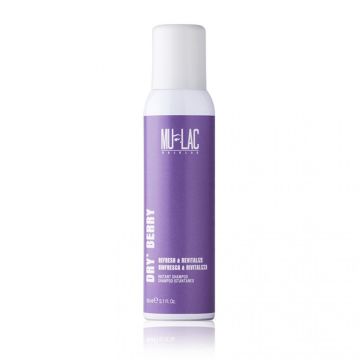 HAIRCARE STYLING #DRY' BERRY REFRESH & REVITALIZE INSTANT SHAMPOO